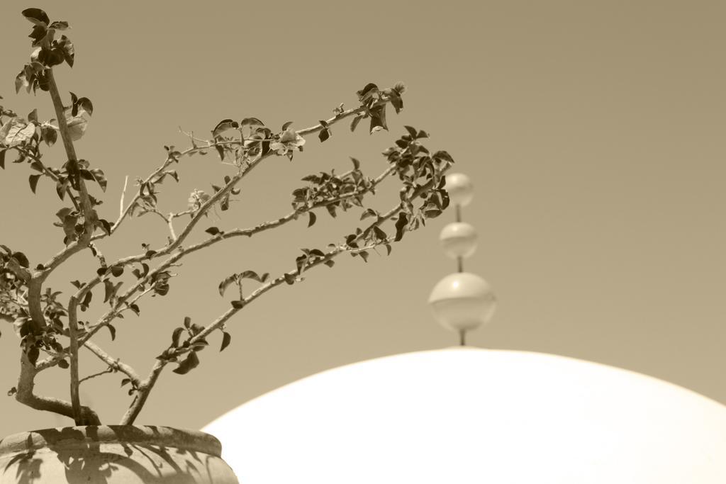 Dar R'Bat Bed & Breakfast Nabeul Exterior photo